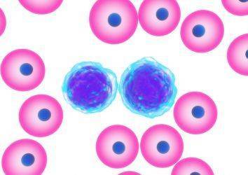 Öncül B hücreli ALL tedavisi için blinatumomab hızlandırılmış FDA onayı aldı