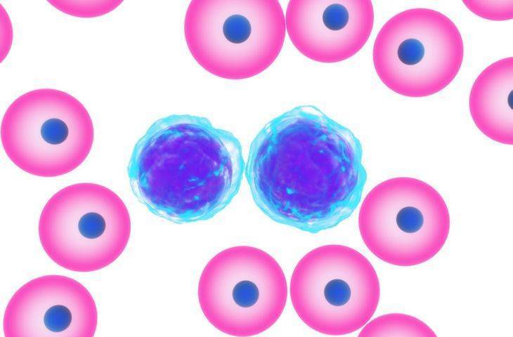 Öncül B hücreli ALL tedavisi için blinatumomab hızlandırılmış FDA onayı aldı