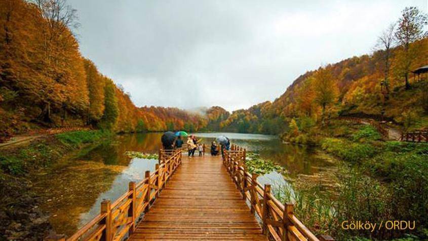 ordu golkoy turkiyenin en uzun yasayan insanlarinin bulundugu ilce