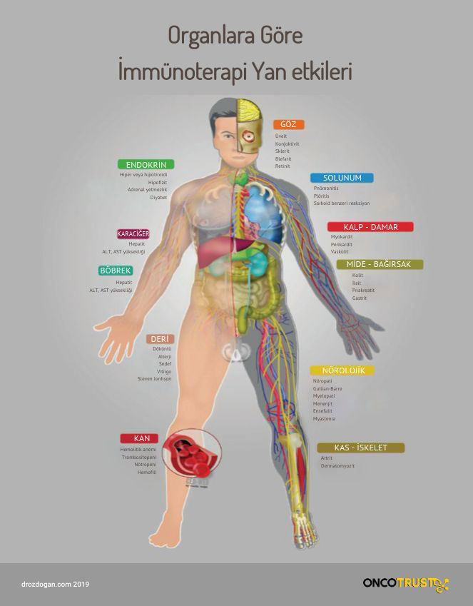 organlara gore immunoterapi yan etkileri