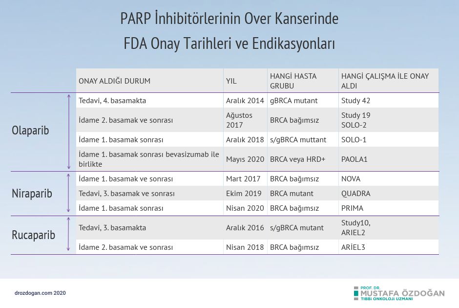 over kanseridne parp inhibitorlerinin onay tarih ve endikasyonlari