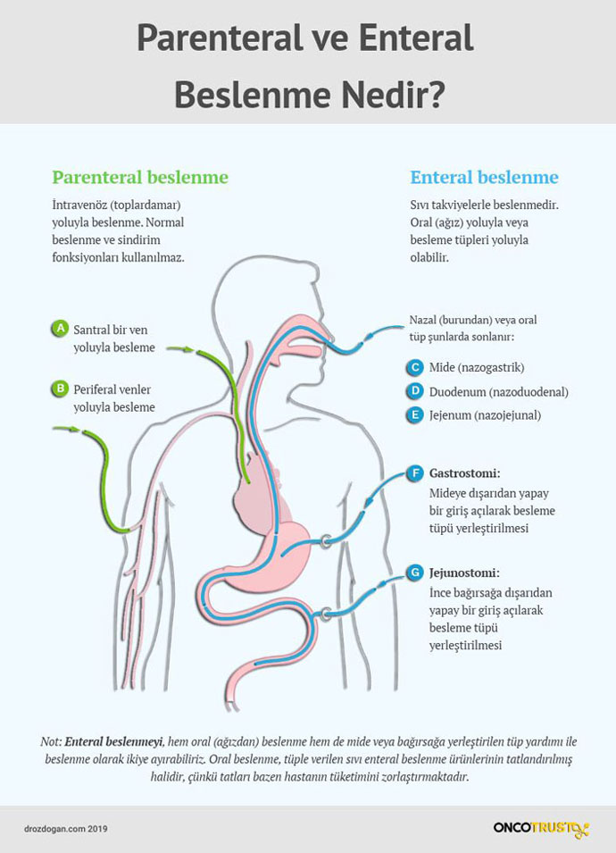 parental ve enteral beslenme nedir