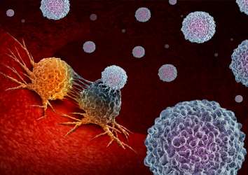 PARP inhibitörleri akciğer kanserinde immunoterapinin gücünü artırabilir
