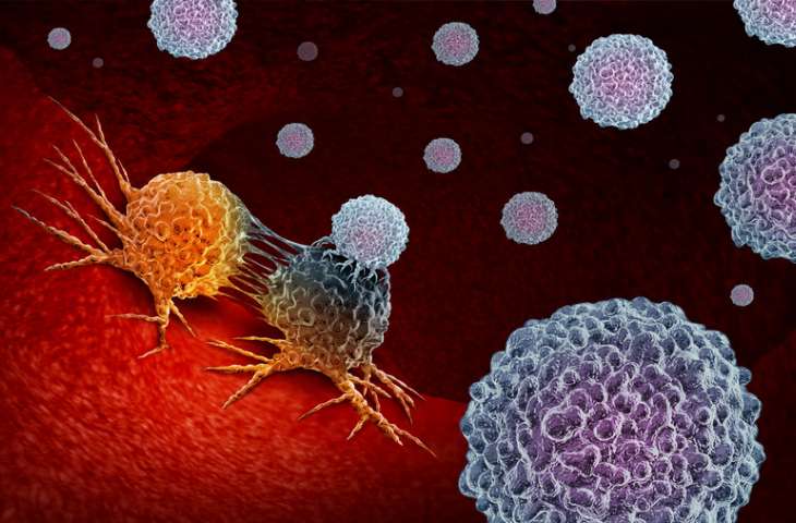 PARP inhibitörleri akciğer kanserinde immunoterapinin gücünü artırabilir