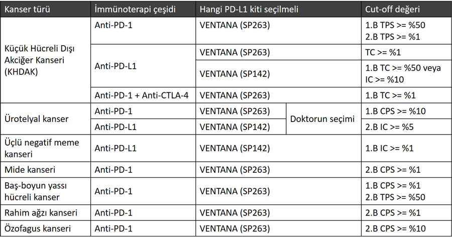 pd l1 test kitleri ventana sp263 sp142 cps tps ic tc