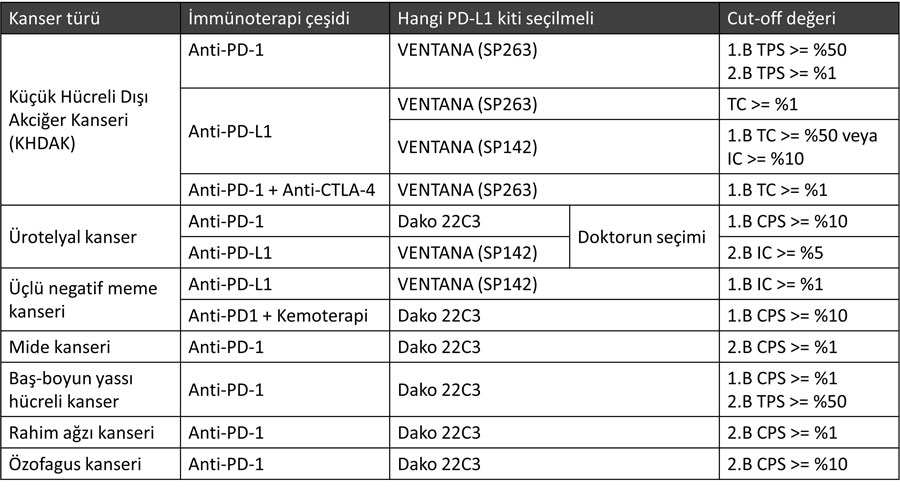 PD L1 testi ölçüm kit çeşitleri dako 22C3 ventana sp142 sp263 kanser immünoterapisi için