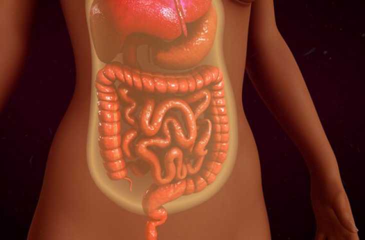 Peritoneal mezotelyoma nedir? Peritonektomi, sitoredüktif cerrahi ve HİPEK