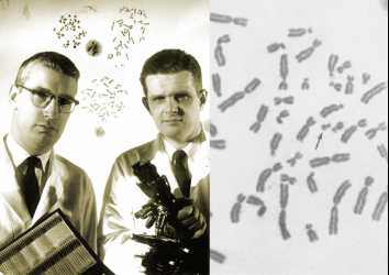 Philadelphia Kromozomu: Akıllı kanser ilaçlarına giden 50 yıllık bir yol