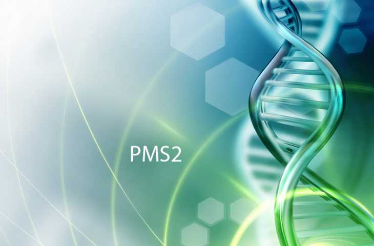 PMS2 mutasyonu nedir? Hangi kanserin riskini artırır?