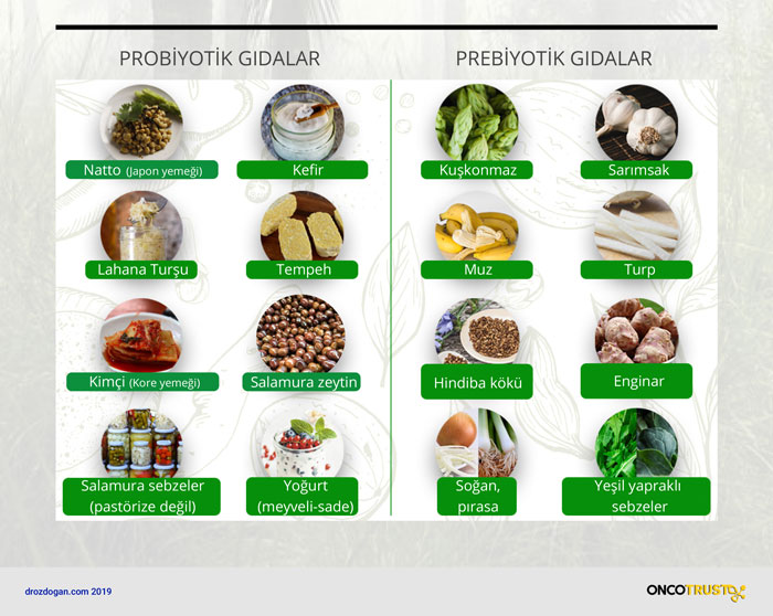 probiyotik ve prebiyotik gidalar