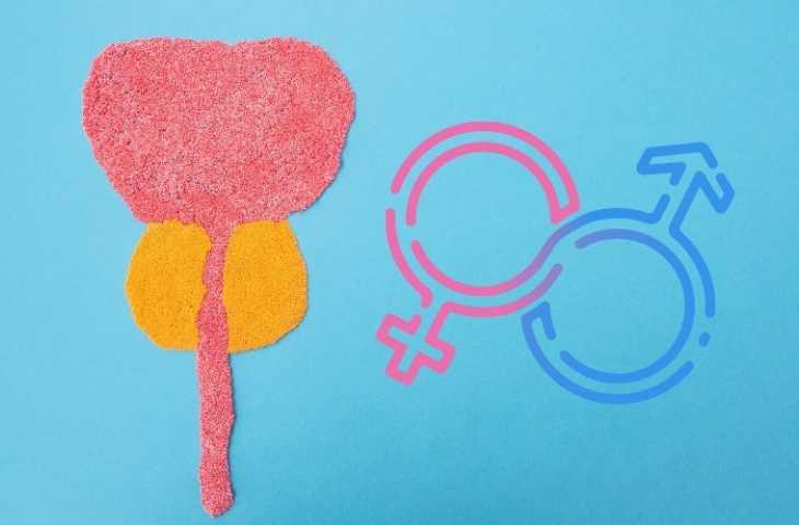 Prostat Kanseri Sonrası Sağlıklı Bir Cinsel Yaşam için Ne Yapmalı?