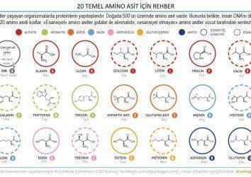 Aminoasit nedir?