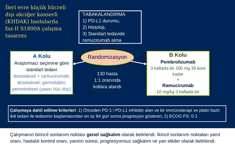 S1800A şema çalışma tasarımın asco 2022 pembrolizumab ramucirumab