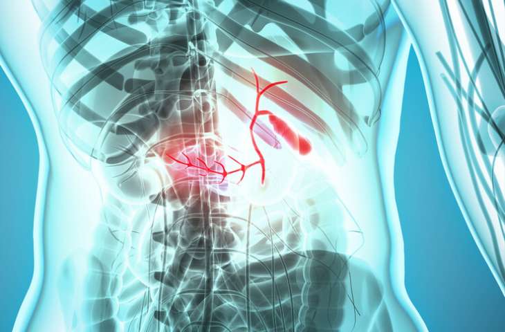 Safra kanalı kanseri için ilk hedefe yönelik akıllı ilaç FDA onayı aldı