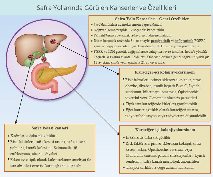 safra yolu kanseri kolanjiokanser nedir özellikleri tedavisi infografi