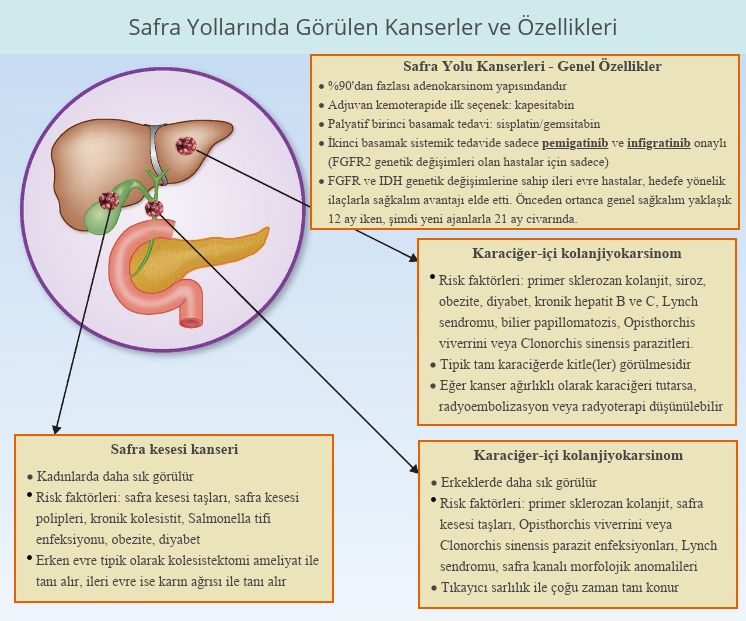 safra yolu kanserleri ve ozellikleri