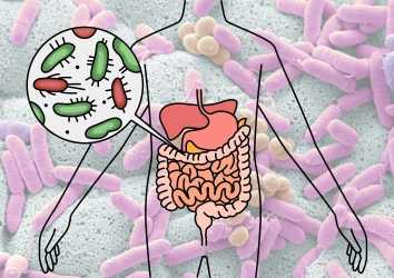 Sağlık Pusulası Olarak Bağırsak Mikrobiyotamız