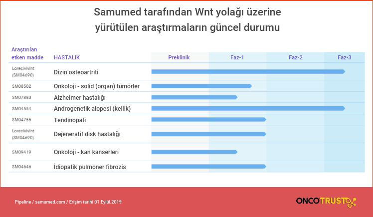 samumed tarafindan wnt yolagi uzerinde yurutulen arastirmalarin guncel durumu