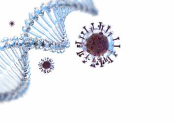 SARS-CoV-2 enfeksiyonunun (COVID-19) ağır seyretmesinde GENETİK yapımız ne kadar etkili?