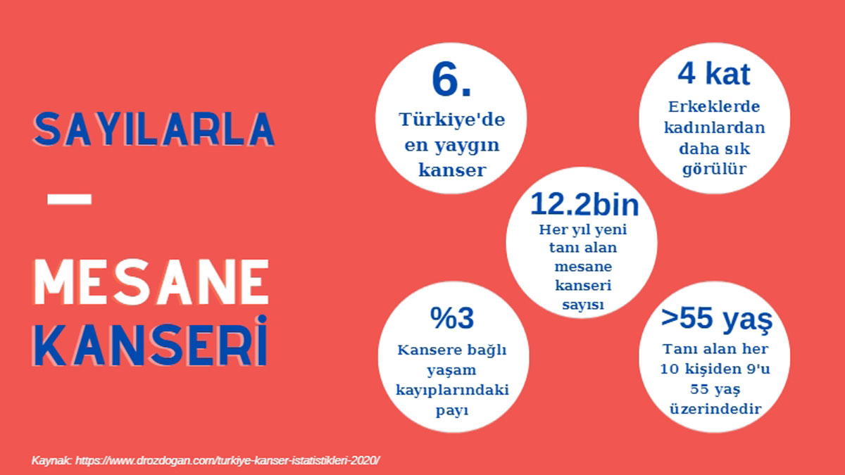 sayılarla mesane kanseri farkındalık nedir infografi