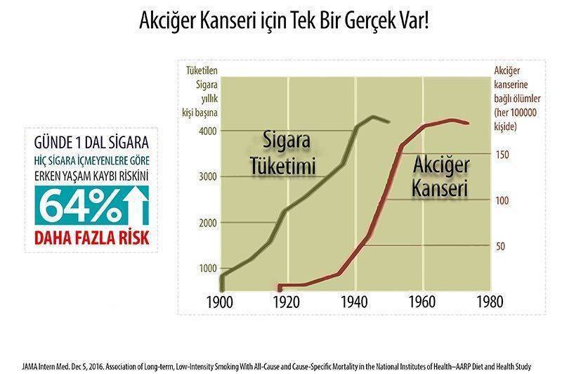 sigara hangi kanserlere neden olur