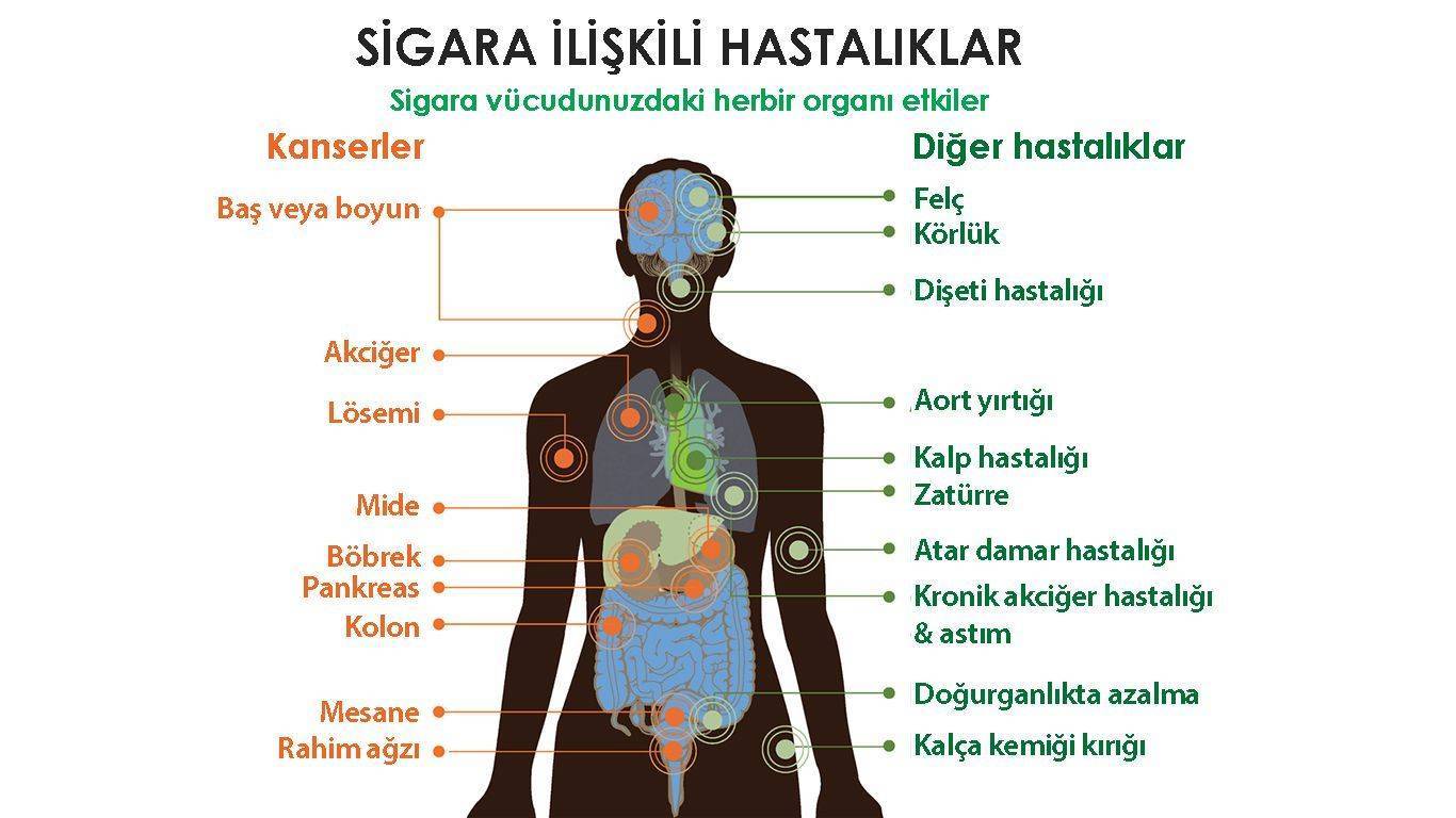 sigaranın zararları nelerdir sigara hangi hastalıklara yol açar