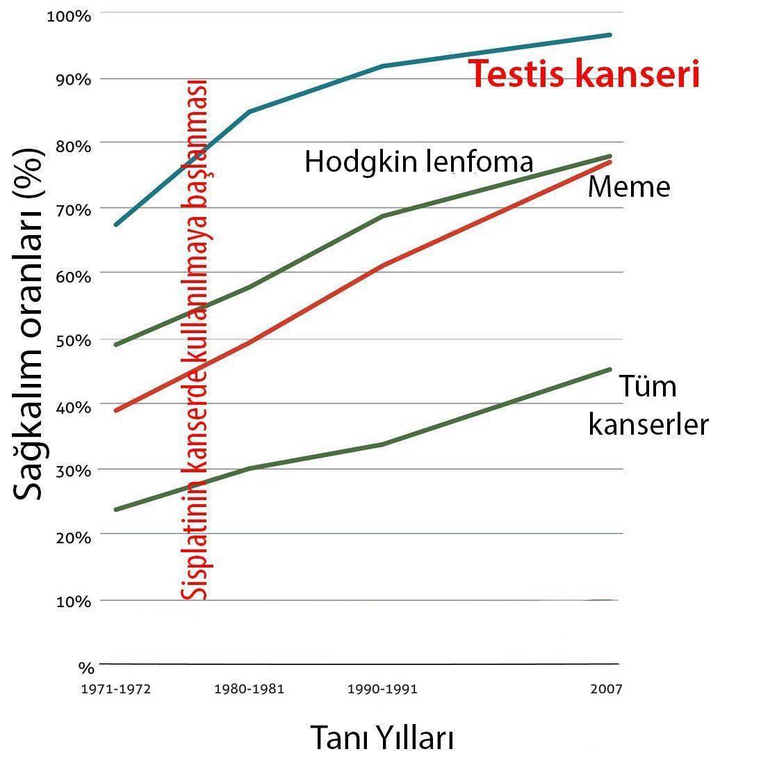 sisplatinin keşfinden sonra kanserde yaşam süreleri belirgin şekilde artmıştır testis kanser