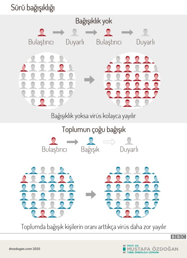 suru bagisikligi nedir herd immunity sars cov 2 covid 19