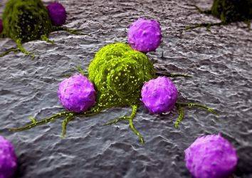 T lenfosit hücre nedir? Bağışıklık sistemi tedavilerinin anahtarı