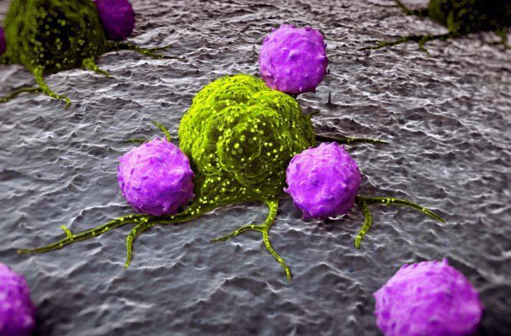 T lenfosit hücre nedir? Bağışıklık sistemi tedavilerinin anahtarı