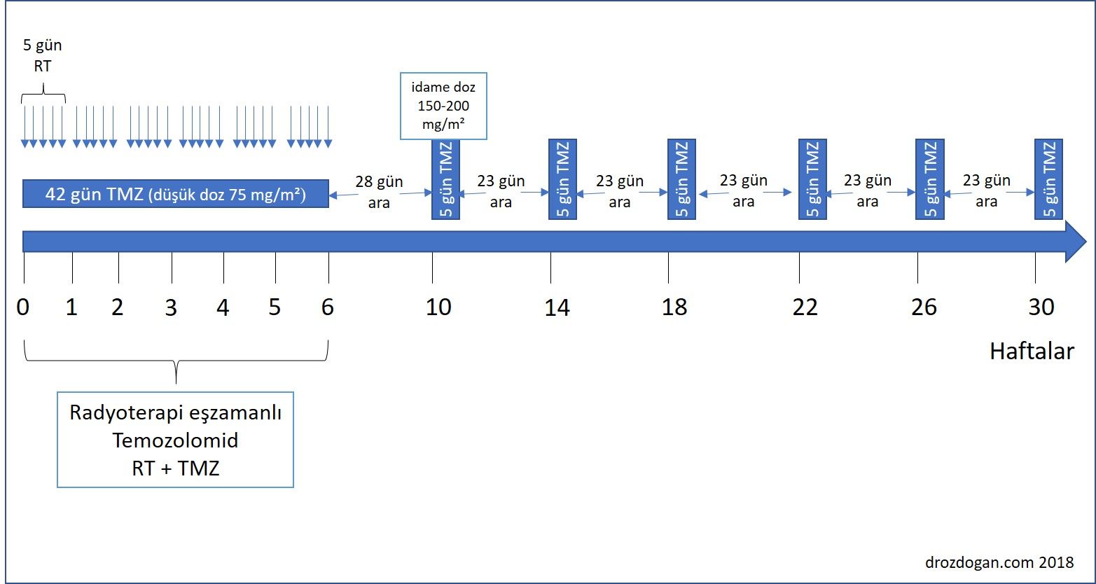temozolomid temadol beyin tümörü gbm tedavisi adjuvan doz uygulama şeması