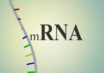 Tıpta yeni bir devir başlıyor: mRNA aşıları!