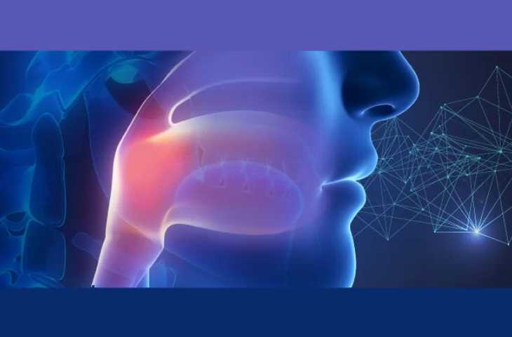 Toripalimab İmmünoterapisi Nazofarenks (Geniz) Kanseri Tedavisinde FDA Onayı Aldı