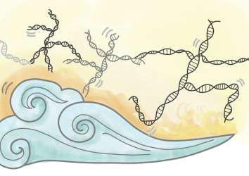 Zıplayan genlerin öyküsü ve kanserde önemi