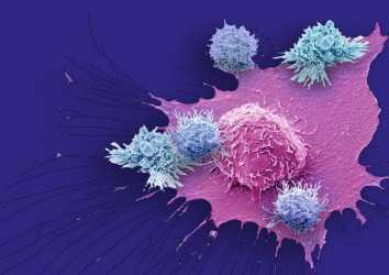 Tümörü İstila Eden T-hücreleri ve Kanserde Önemi