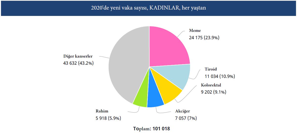 türkiye 2020 istatistik kadınlarda en sık görülen ilk 5 kanser türü