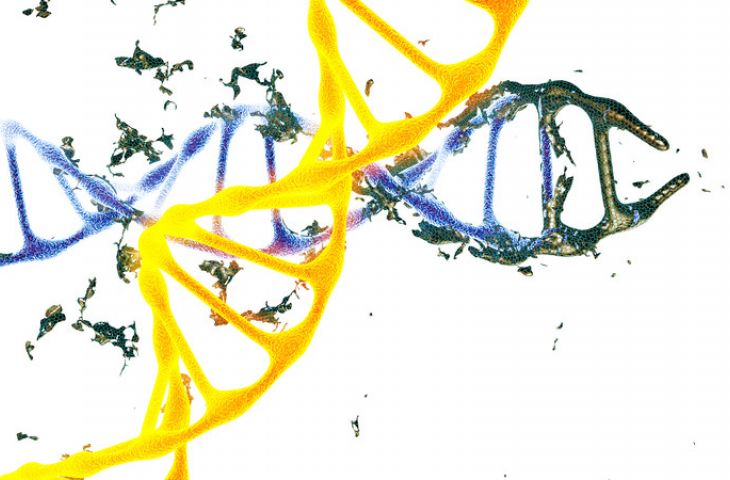 Yapay Toksik RNA ile Kanser Hücrelerini Öldürmek