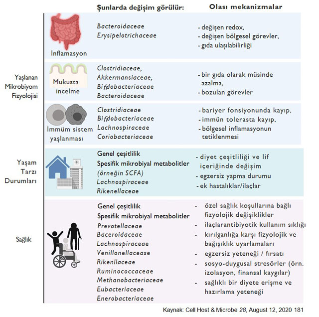 Yaşlanan mikrobiyotada değişiklikler mikrobiyomdaki yaşa bağlı değişiklikler fizyolojik ya