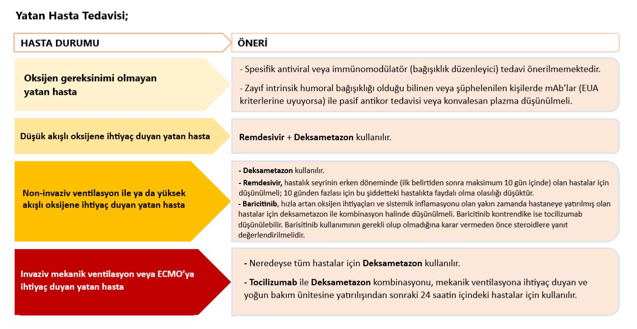 covid 19 tedavi rehberi guncellenen protokol ve algoritma prof dr mustafa ozdogan