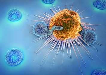 Yeni Bir CAR T-Hücre Tedavisi Öncül B Hücreli ALL İçin FDA Onayı Aldı