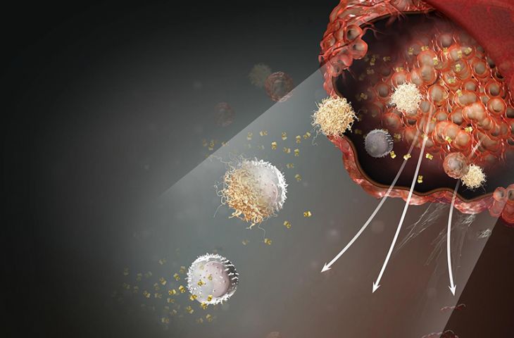 Yeni bir kanser immünoterapisi geliyor: makrofaj kontrol noktalarını baskılamak