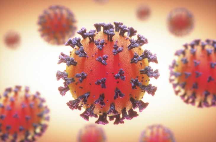 Yeni koronavirüs (SARS-CoV-2) nasıl bulaşır ve hastalık yapar? Son bilimsel gelişmeler