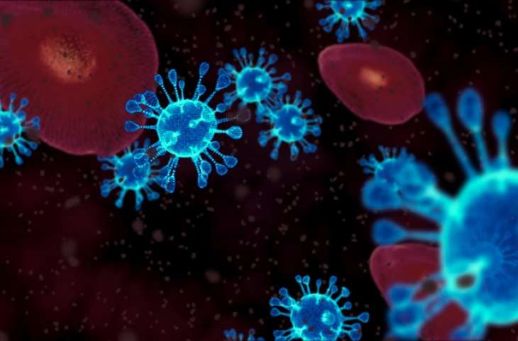 Yeni koronavirüse (SARS-Cov-2) BAĞIŞIKLIK SİSTEMİ NASIL TEPKİ VERİYOR? Sorun nerede?