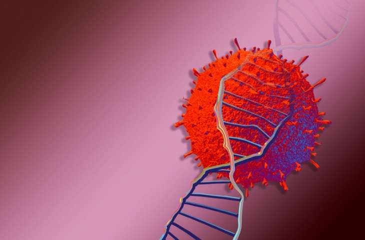Yeni koronavirüste 81 nükleotitlik kritik bir mutasyon saptandı! Virüs, mutasyonlar ile zayıflayabilir mi?