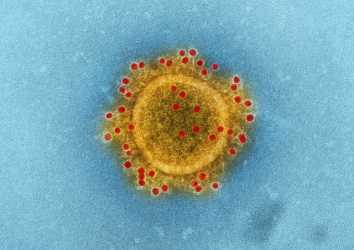 Yeni Koronavirüste Denenen ve Öncekilerde (MERS-CoV ve SARS-CoV) Etkinlik Gösteren İlaçlar
