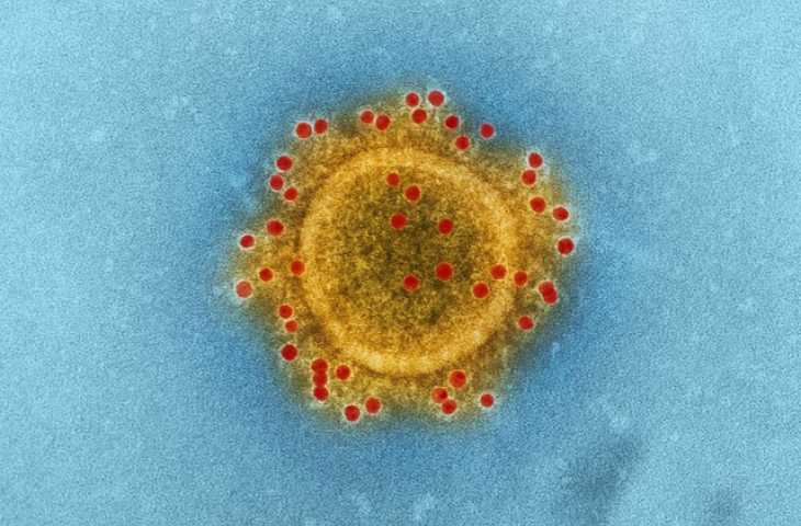 Yeni Koronavirüste Denenen ve Öncekilerde (MERS-CoV ve SARS-CoV) Etkinlik Gösteren İlaçlar
