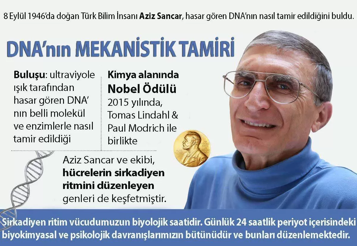 Aziz Sancar A Nobel Odulu Nu Getiren Calismalari Dna Nin Mekanistik Tamiri Prof Dr Mustafa Ozdogan